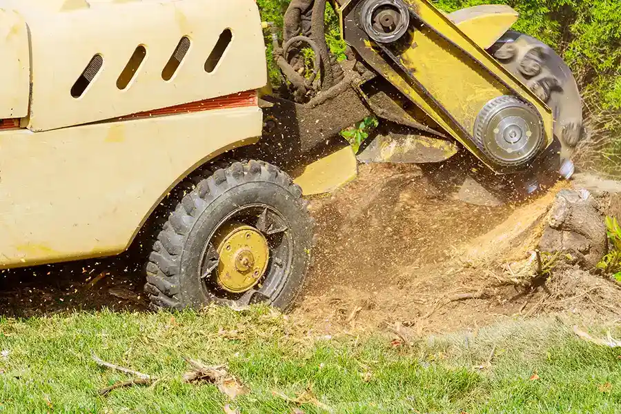 How To Grind A Stump in Alpharetta, GA