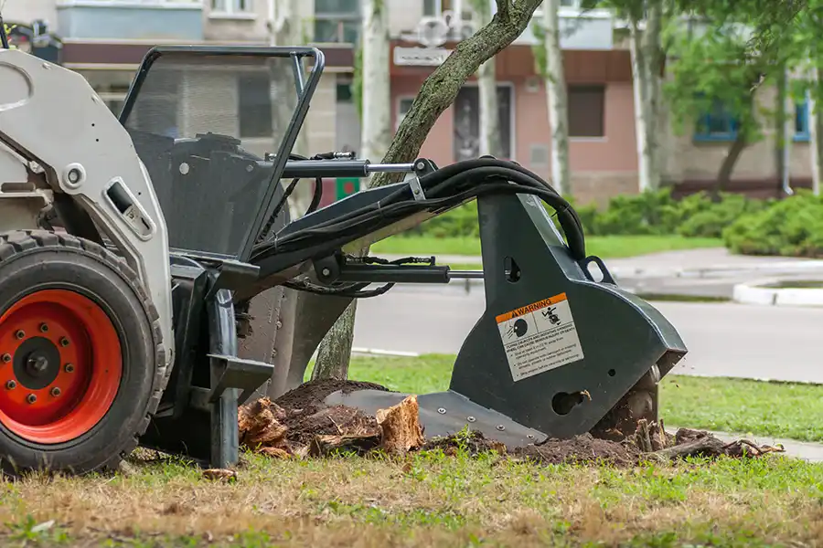 How To Grind A Stump Alpharetta, GA