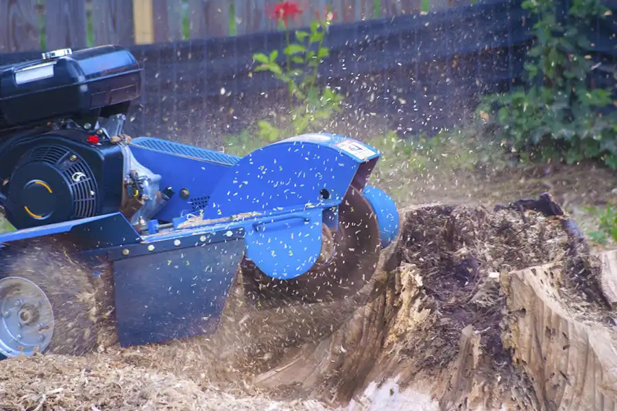Efficient Stump Grinding Service in Alpharetta, GA