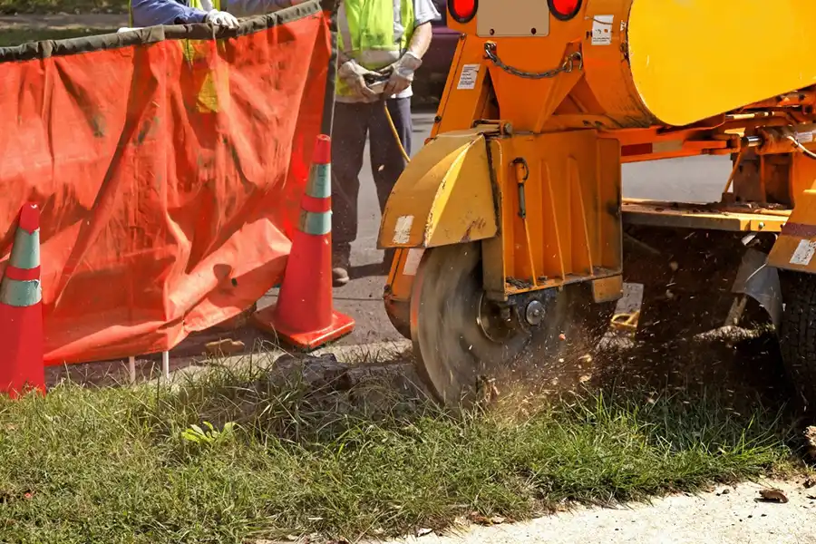 Best Stump Grinding Service in Alpharetta, GA