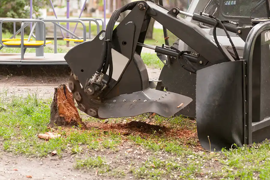Best Stump Removal Service in Alpharetta, GA