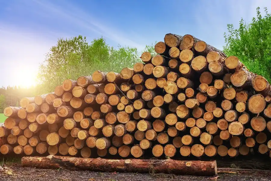 Reliable Tree Removal Service in Alpharetta, GA